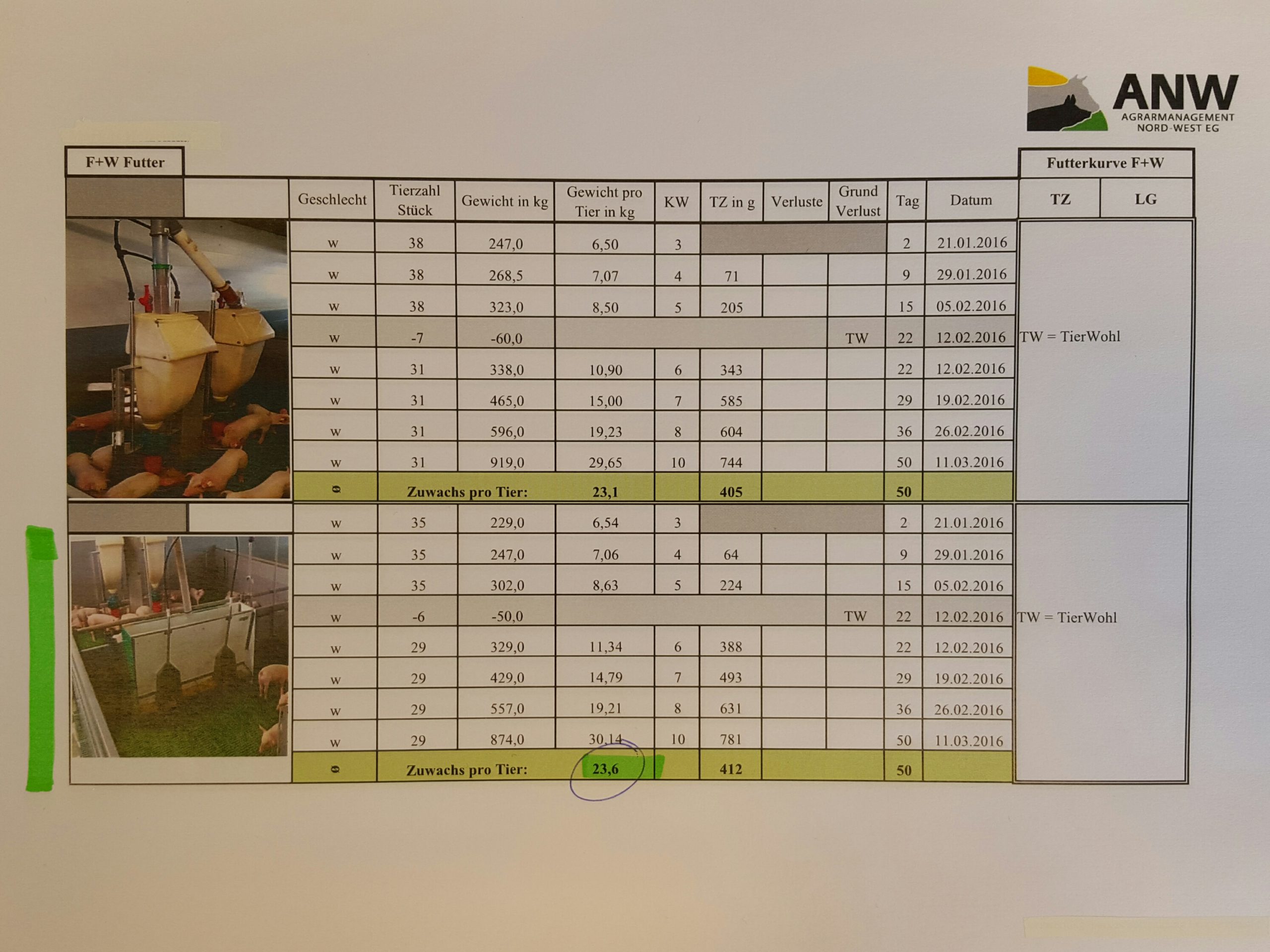 Résultats des tests sur les porcelets drowaco